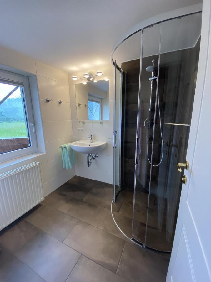 Appartement Haus Meneweger à Flachau Extérieur photo